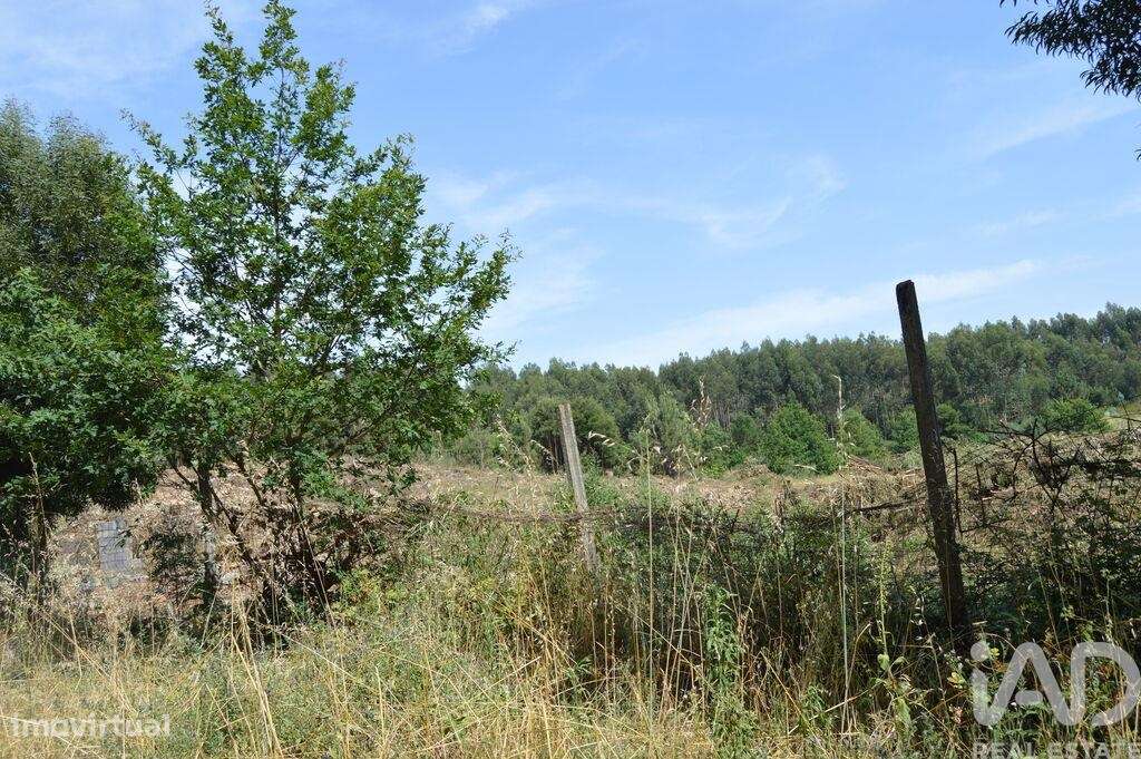 Terreno para construção em Termas de São Vicente de 83204,00 m2 - Grande imagem: 4/14