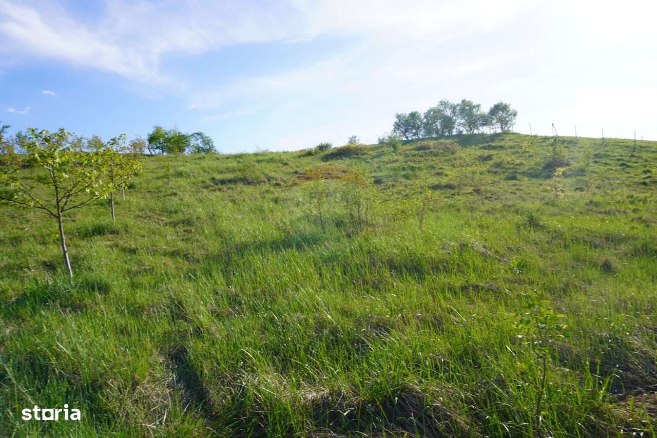 Teren 38,592mp Sighetu Marmatiei / Strada Mocăniței - Imagine principală: 3/20