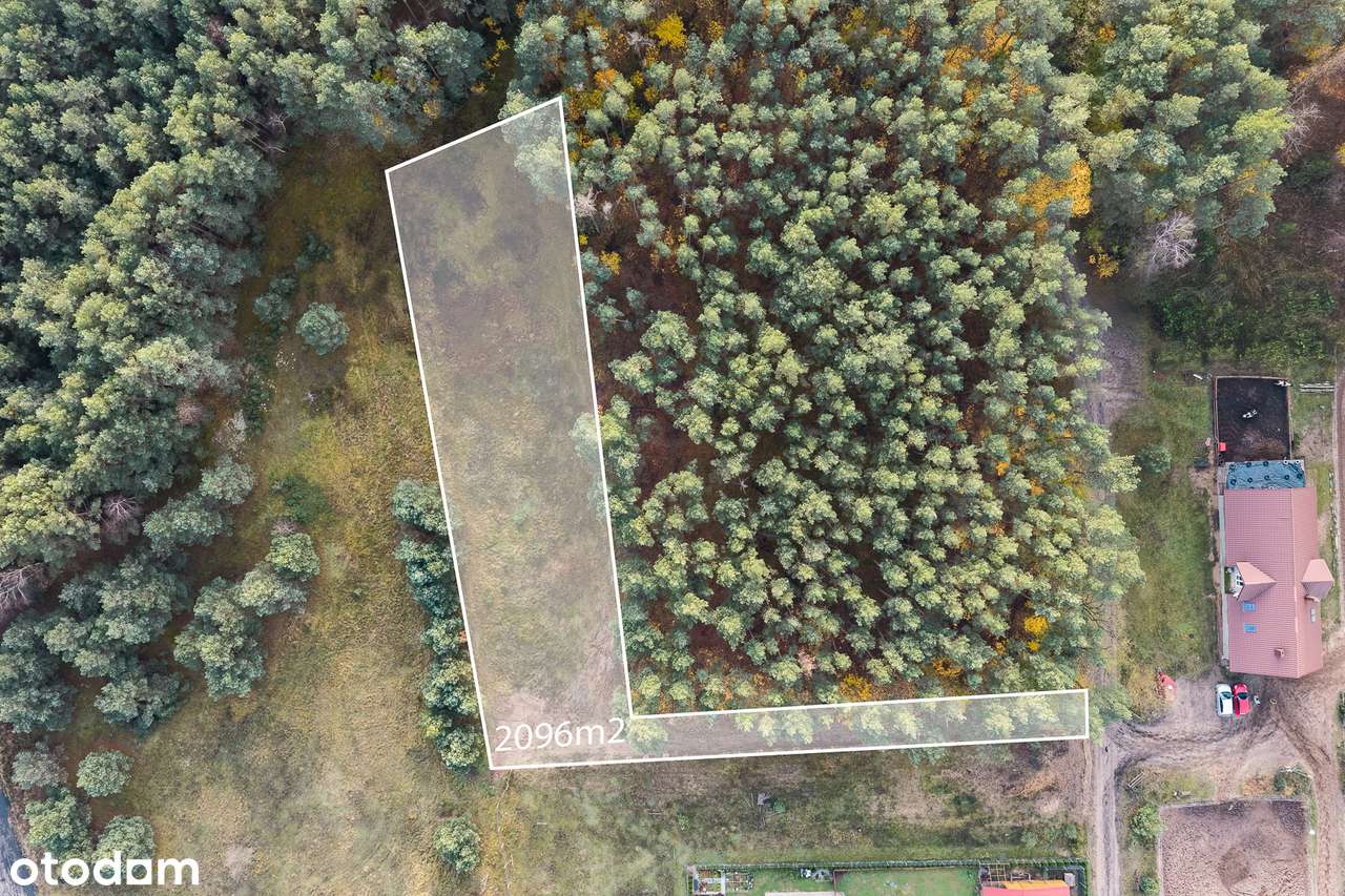 Działka pod lasem, idealna na Twój wymarzony dom, Sąsieczno! - Pełny obrazek: 4/8