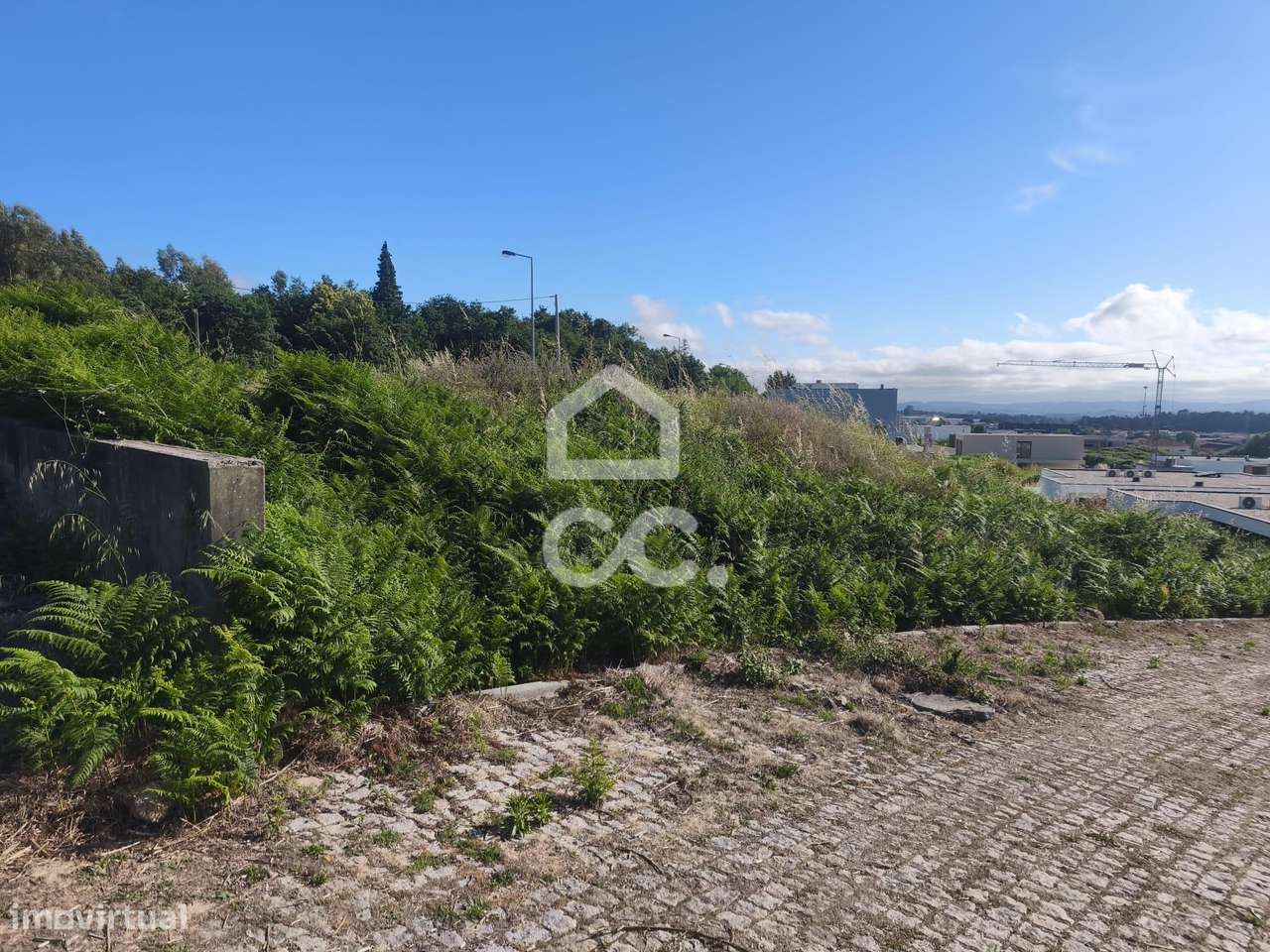 Lote em Ruivães - Vila Nova de Famalicão-6