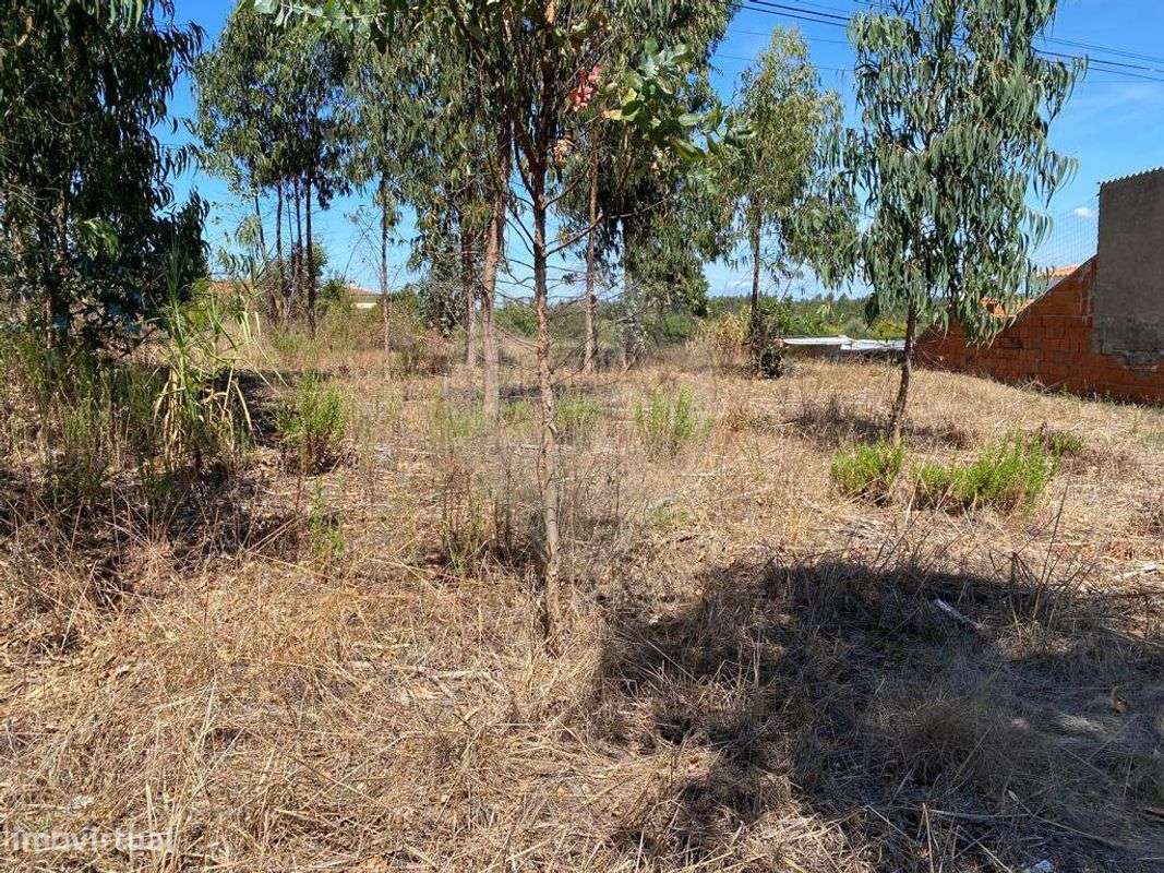 Terreno  para venda - Grande imagem: 4/5