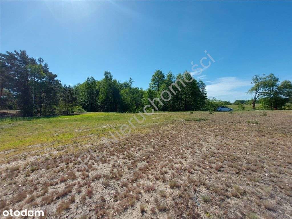 Dogodne Wymiary, Media, Magiczny Widok.-1