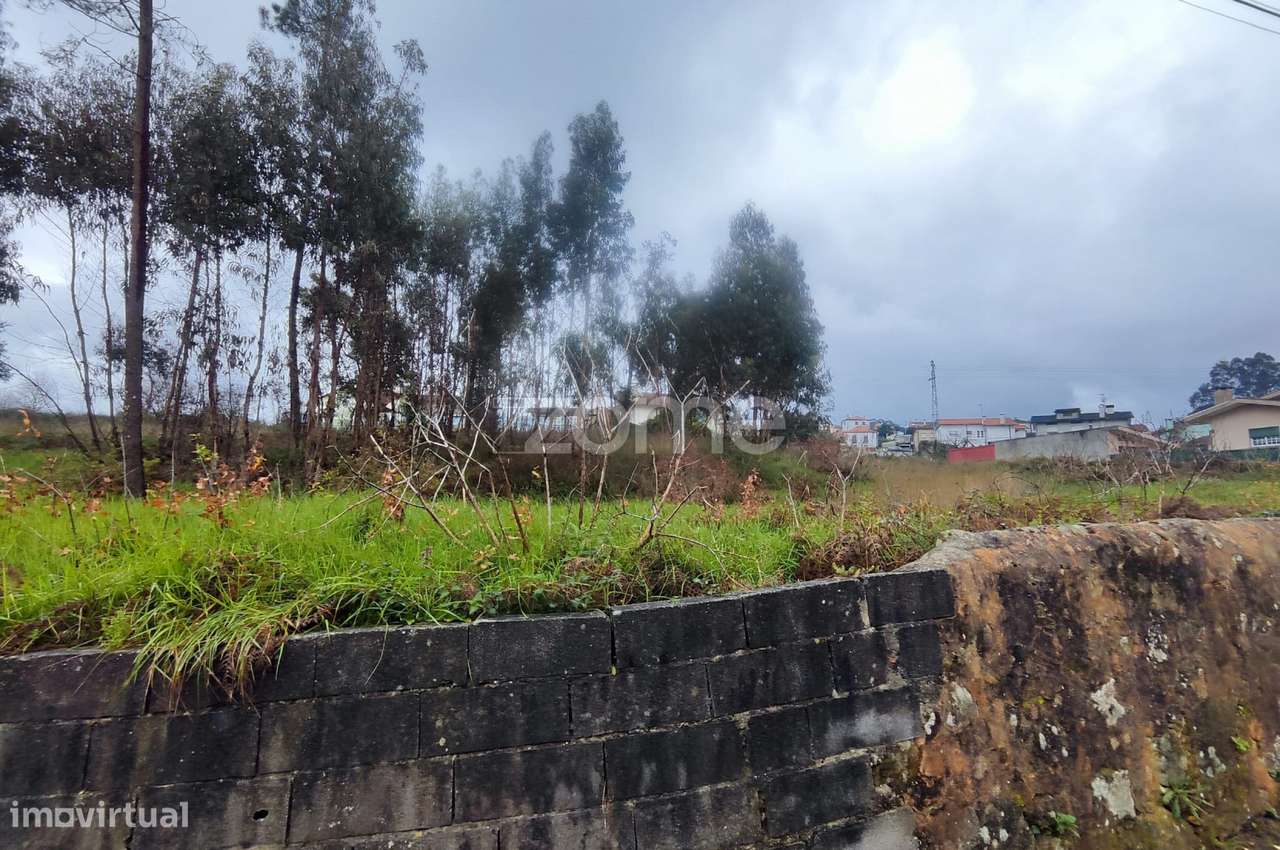 Terreno de 3.470m² para Construção em Oliveira de Azeméis-5