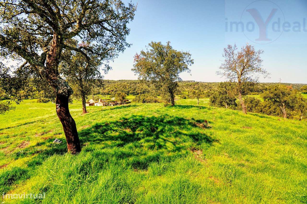 TERRENO EM S.BARTOLOMEU DA SERRA-33