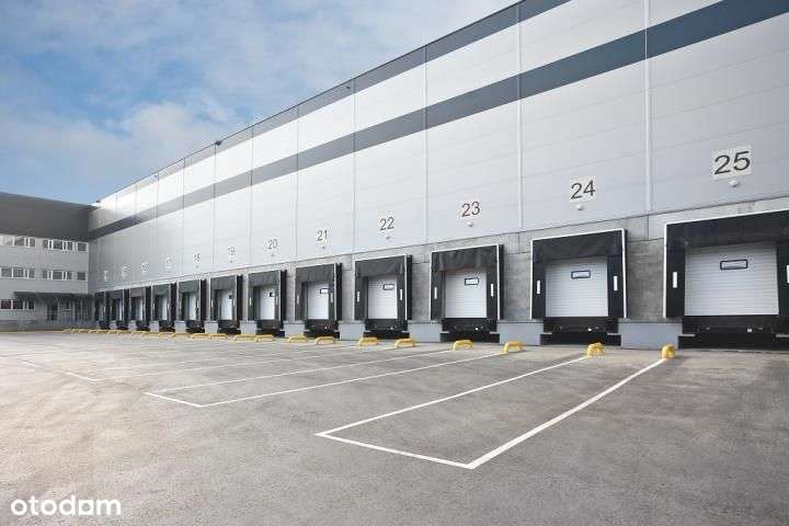 Nowoczesny magazyn na wynajem w Gliwicach - Pełny obrazek: 4/5