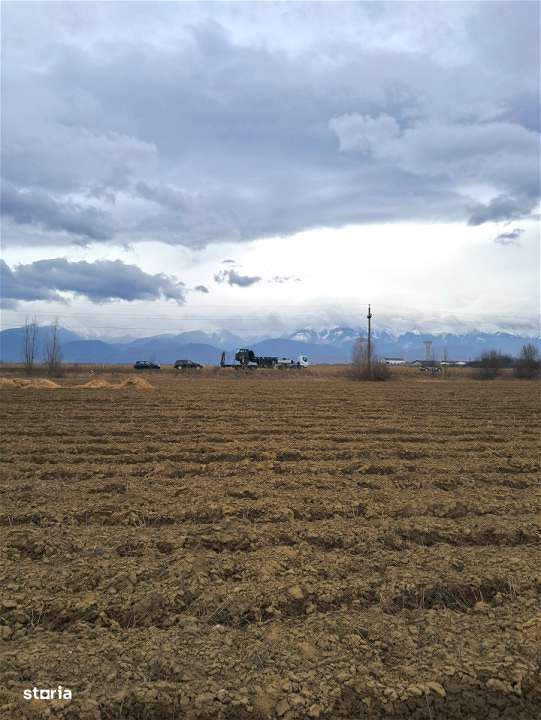 Teren extravilan Avrig-6