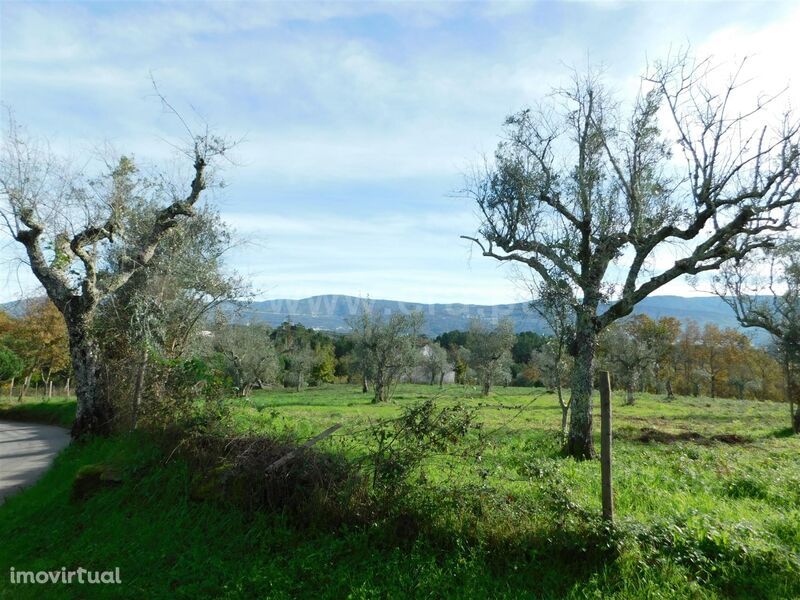 Terreno / Seia, Santa Comba