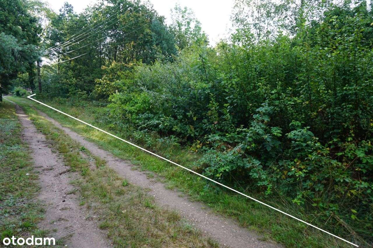 Działka 1596 m² na skraju lasu, Sobień, Białaczów-5