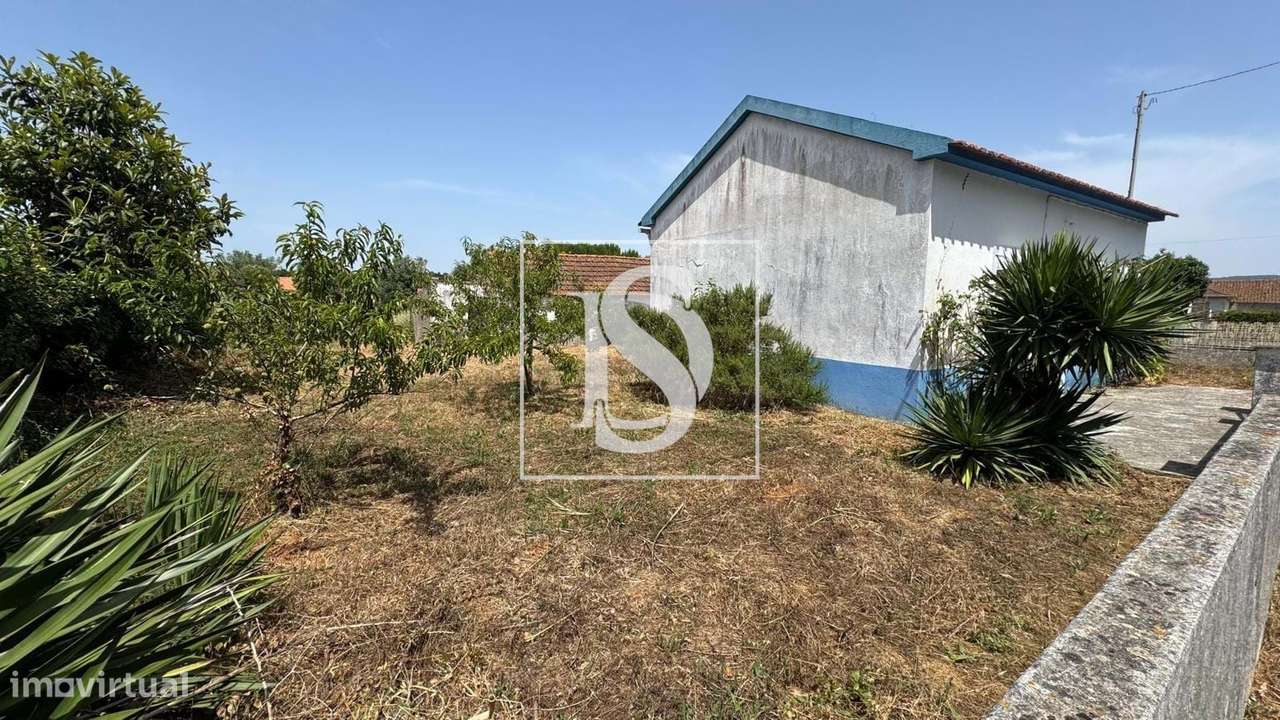 Moradia Tradicional com Terreno em Turquel (Alcobaça)-15