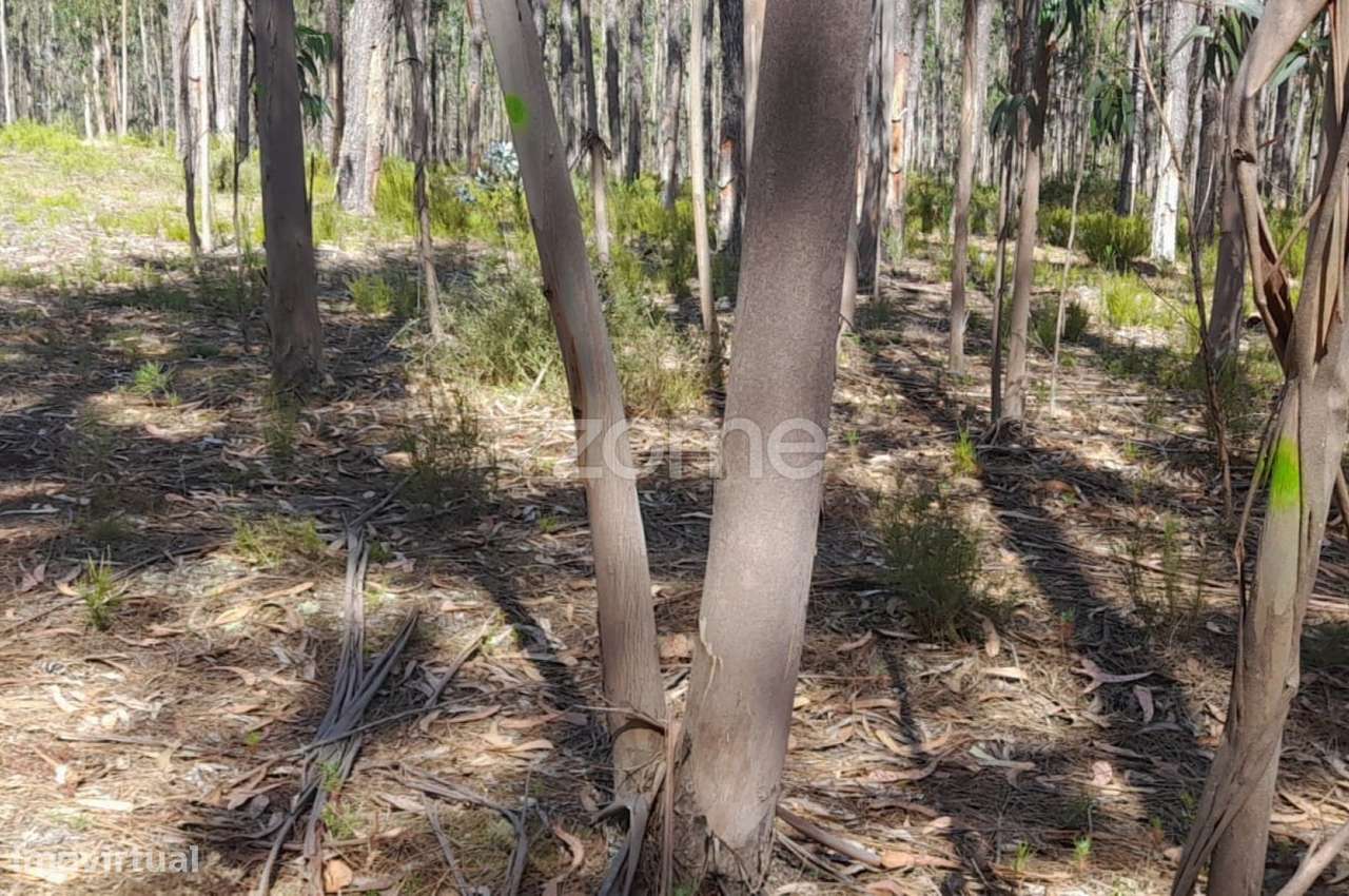 Terreno rústico - Grande imagem: 1/23