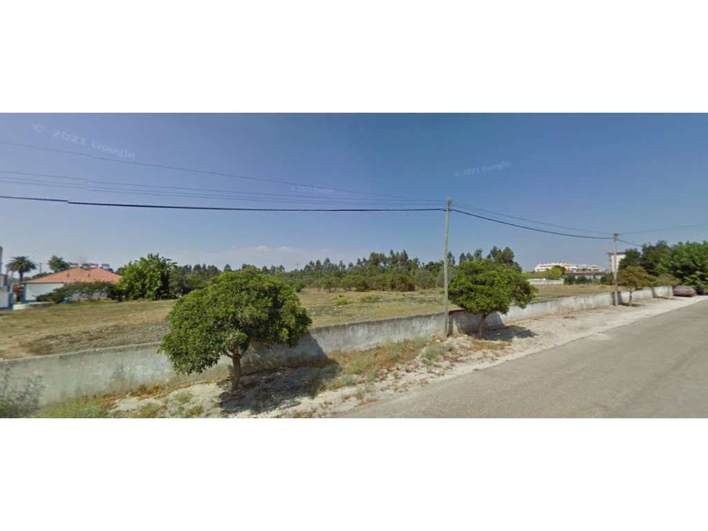 Terreno para Venda em Pegões com PIP aprovado - Grande imagem: 3/8