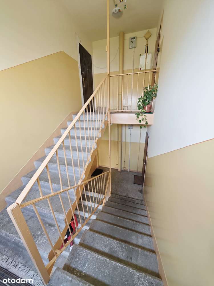 3 pokojowe mieszkanie na Widzewie, zielona okolica, dobra lokalizacja-16