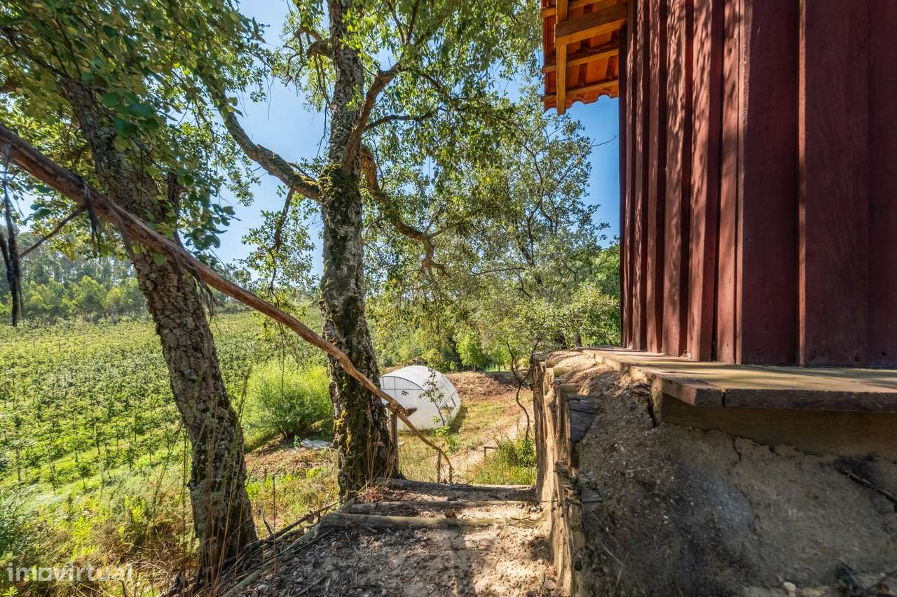 Terreno Agrícola na Fanadia | 16.100 m² de Potencial e Infraestrutu...-21