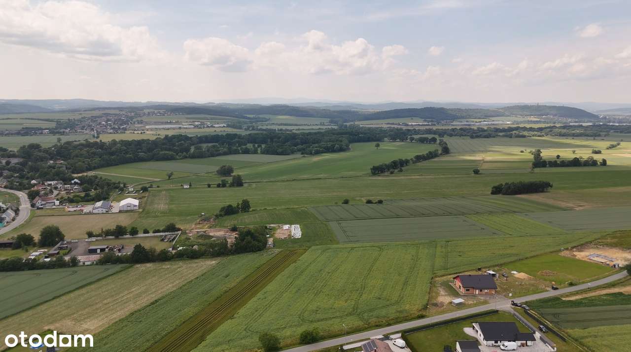 Sprzedam działkę 1,41 ha nr. 585 | Branice | Granica PL-CZ - Pełny obrazek: 4/5