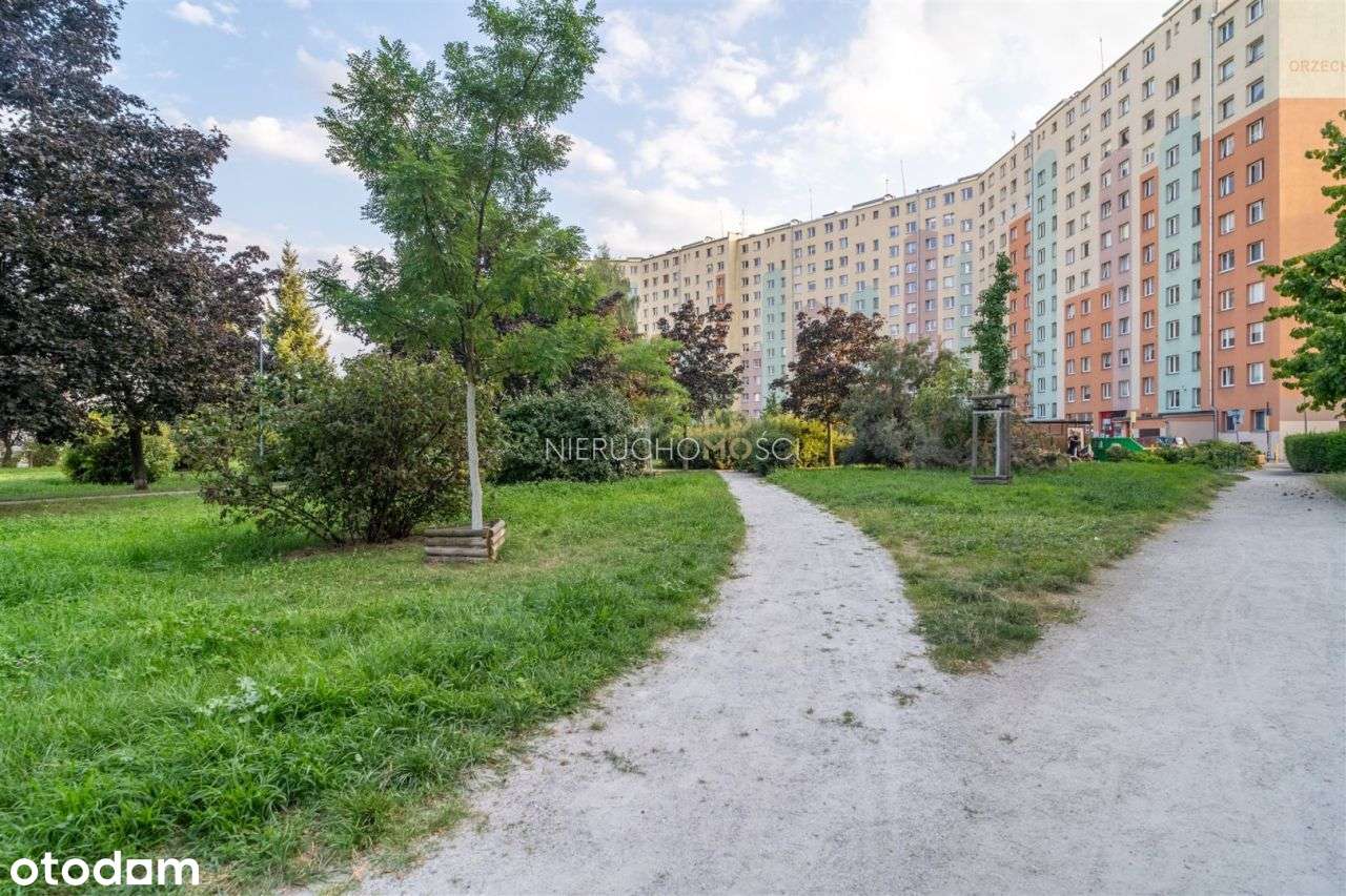 Dwustronne / Rozkładowe / Balkon / Winda / Parking-14