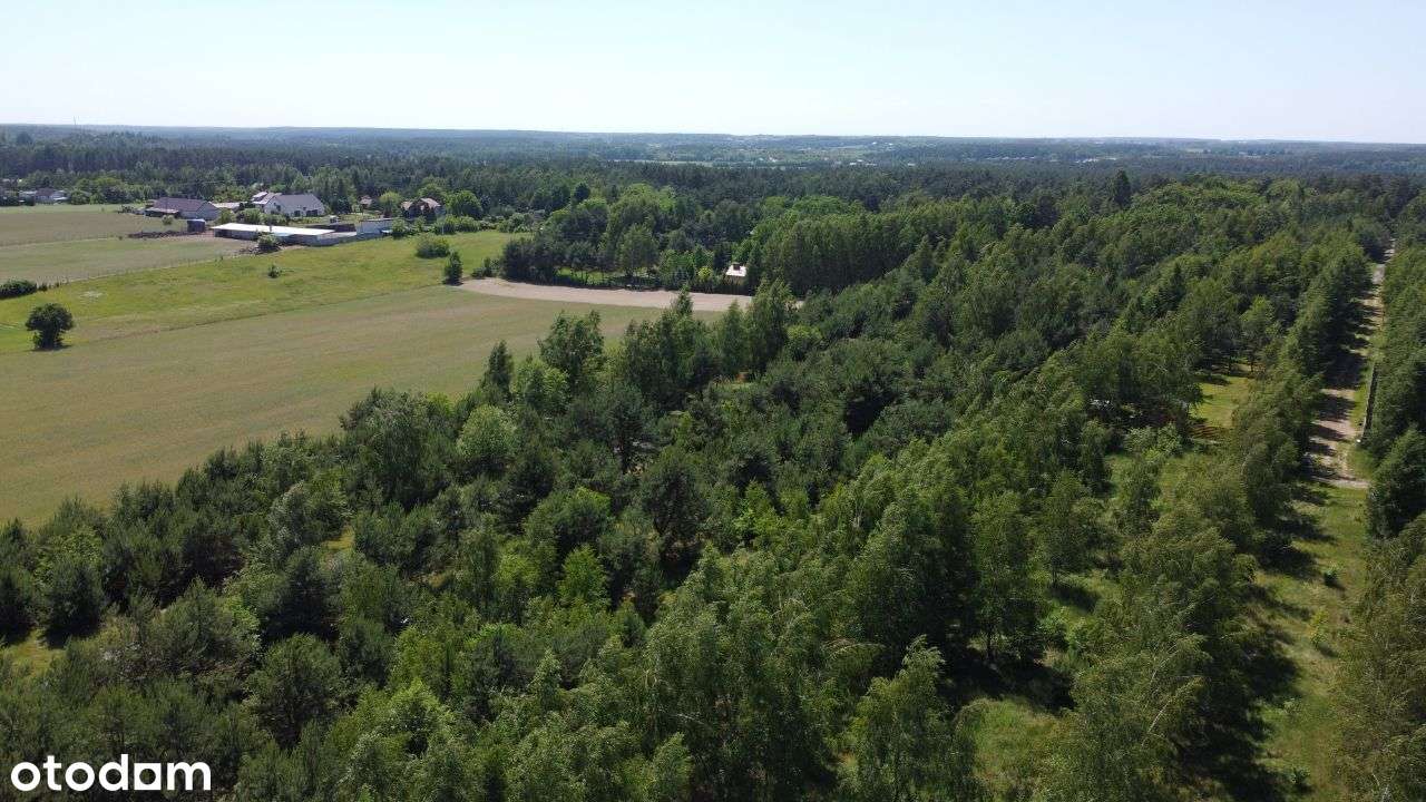 Malownicza, zadrzewiona działka nad Wkrą . OKAZJA-4