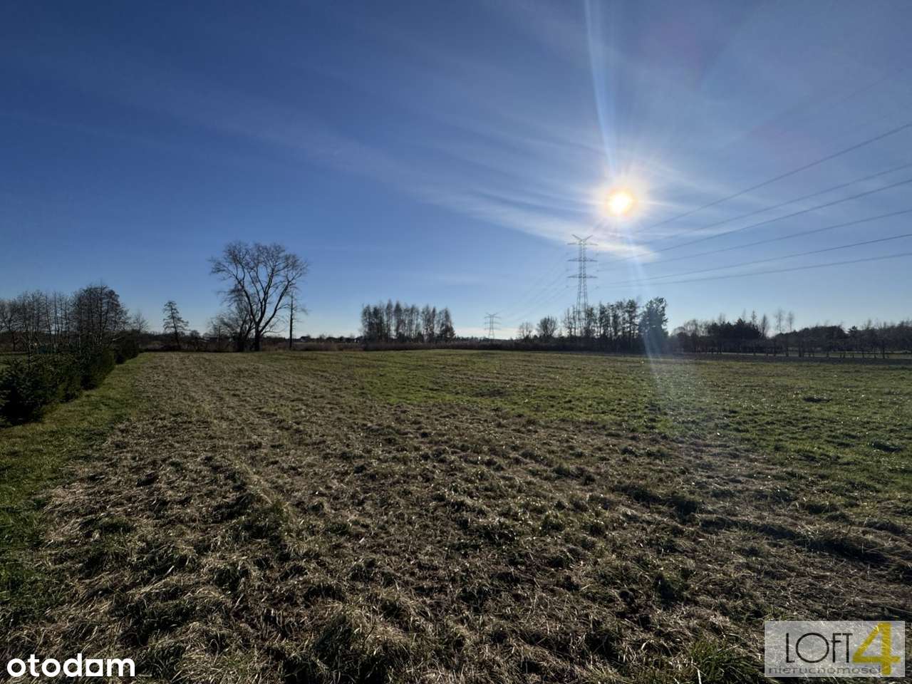 Radłów - działka z potencjałem - Pełny obrazek: 4/16