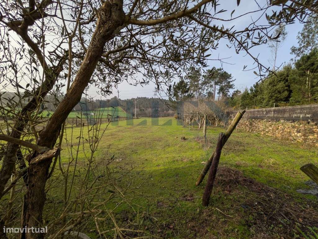Terreno em Santiago de Bougado - Grande imagem: 4/9