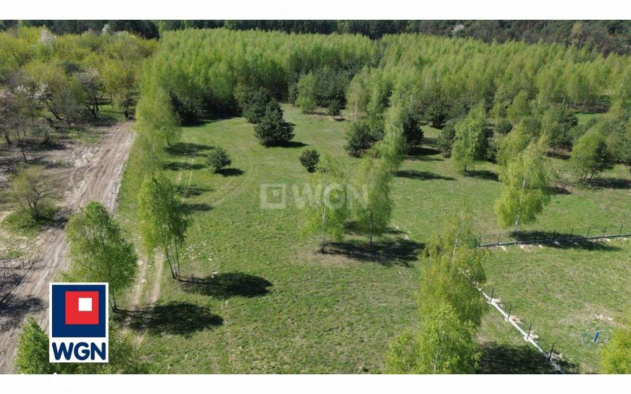 Działka, 900 m², Kodrąb-10