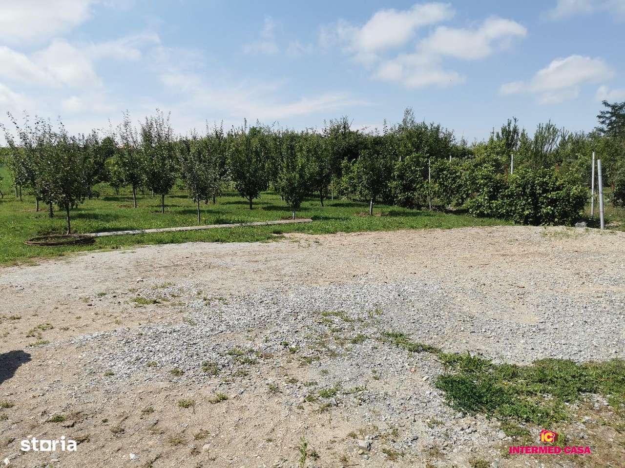 Teren sat de vacanta Daia - Imagine principală: 5/11