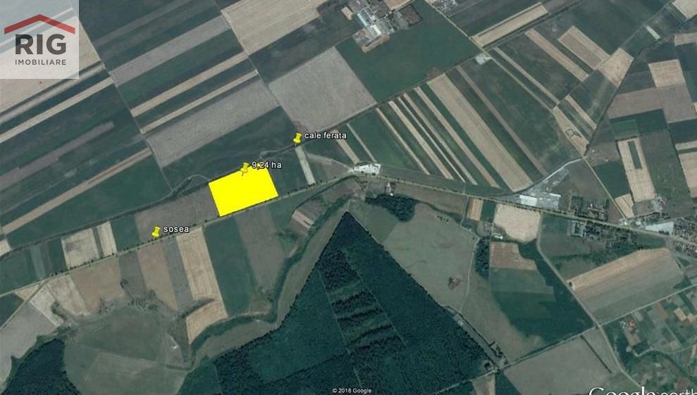 9,24 ha teren arabil de vanzare la iesirea din localitatea Pecica