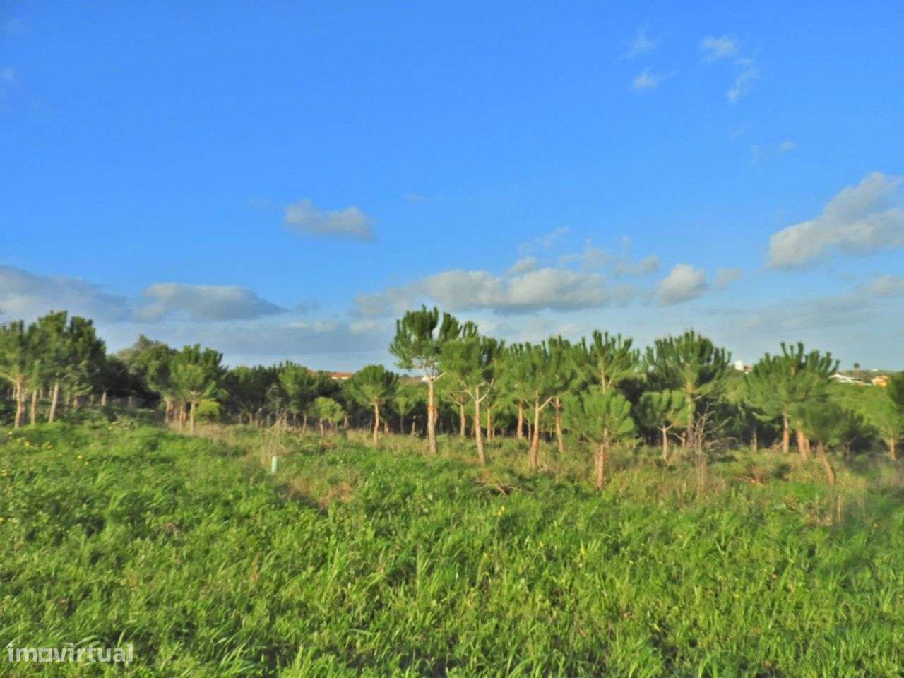 Quintinha com projeto aprovado para construção - Grande imagem: 2/13