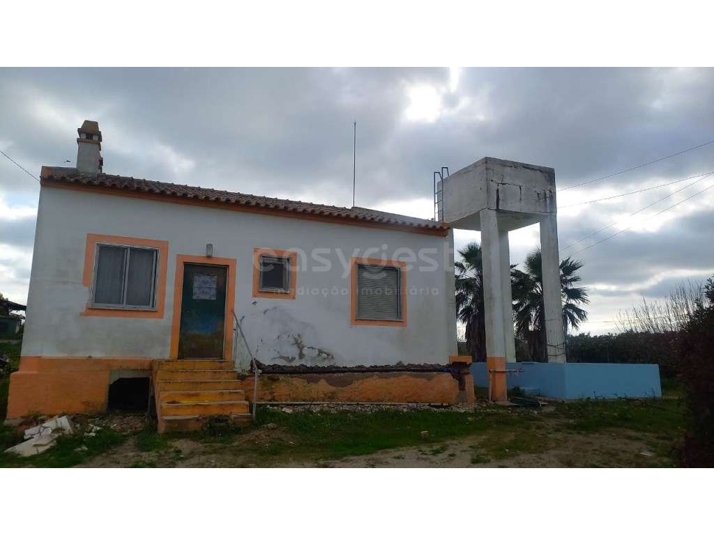 Monte no Alentejo - 4 km de Beja - Grande imagem: 3/26