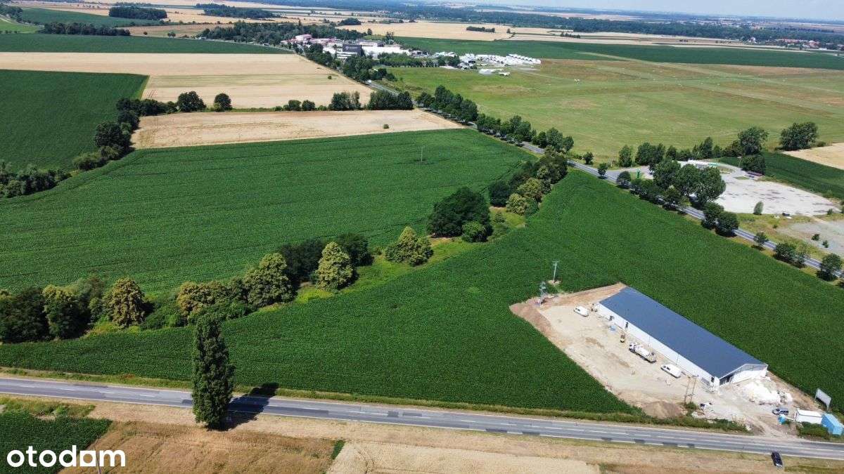 Działka 1,3ha inwestycyjne przy ruchliwej drodze - Pełny obrazek: 4/11