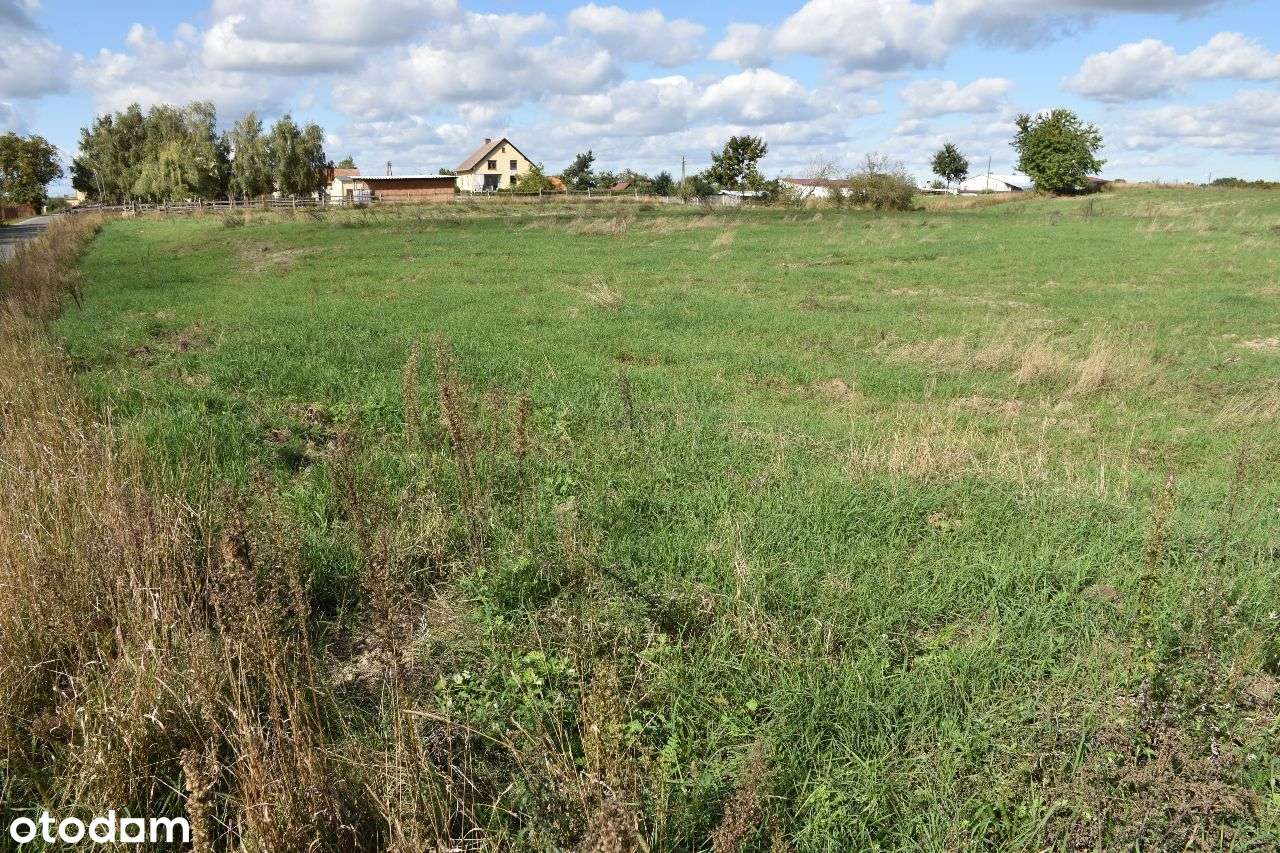 Działka budowlana dla inwestora ,Mierzowice-3