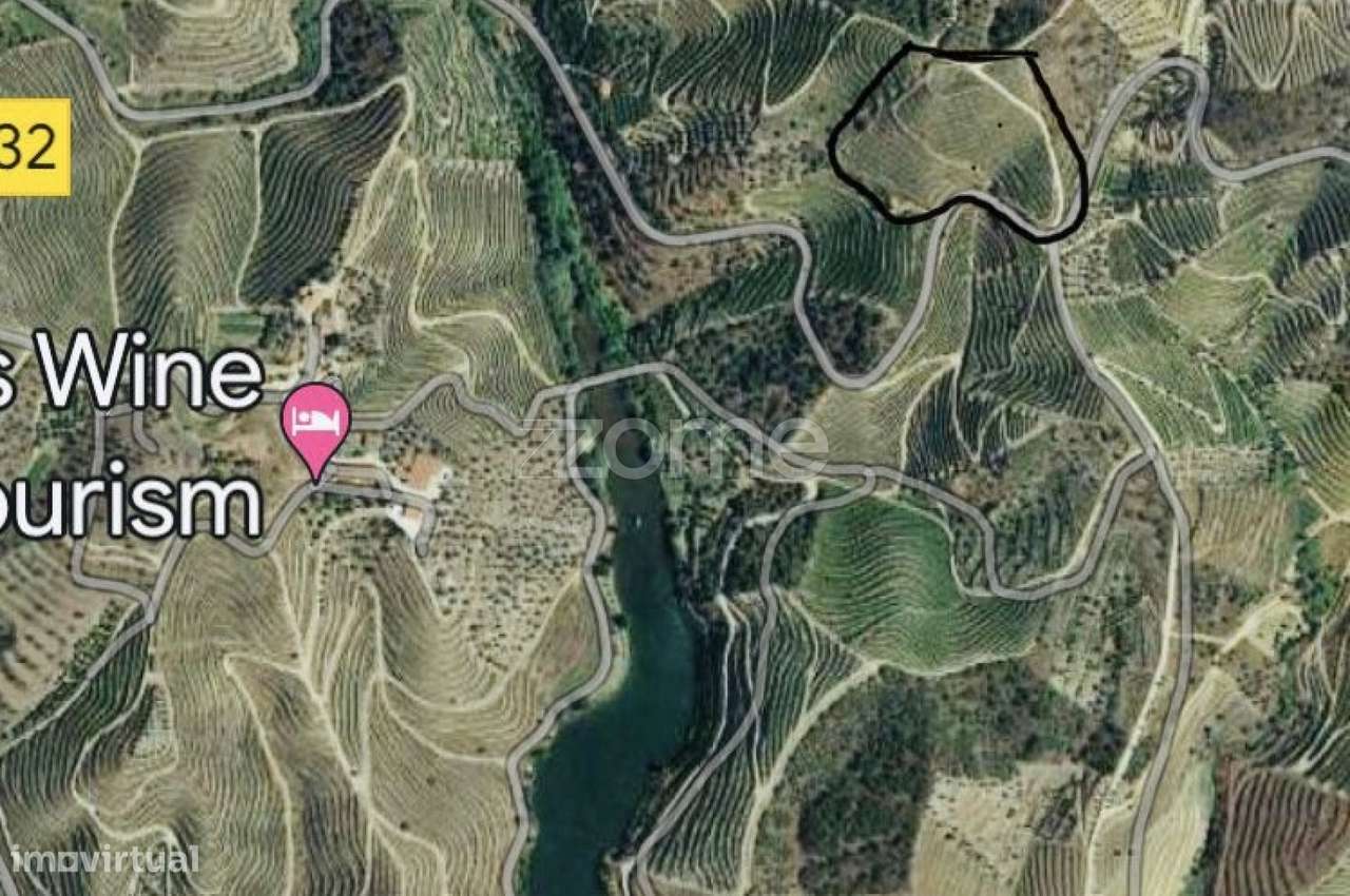 Terrenos com vinhas para produção de Vinho do Porto - Grande imagem: 5/7