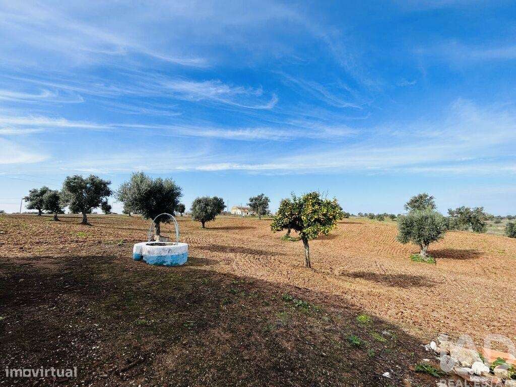 Terreno T3 em Ferreira do Alentejo e Canhestros de 178,00 m2 - Grande imagem: 3/21