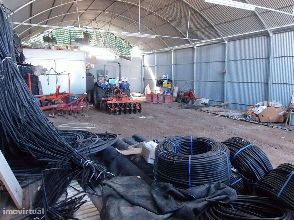 Quinta com exploração biologica - Grande imagem: 5/19