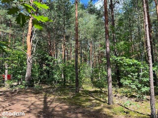 działka budowlana z wz Wawer Radość - Pełny obrazek: 3/7