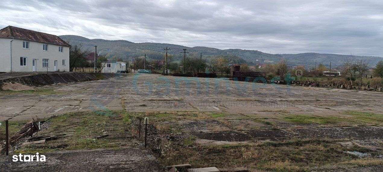 Gaminvest Hala de inchiriat aflata in zona Vadu Crisului, A1947 - Imagine principală: 3/6