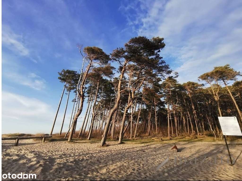 Działka na Domki pod Wynajem 900 m od Morza - Pełny obrazek: 1/18