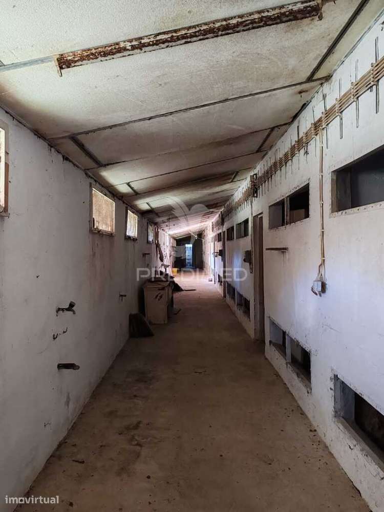 Pavilhão - Grande imagem: 4/21