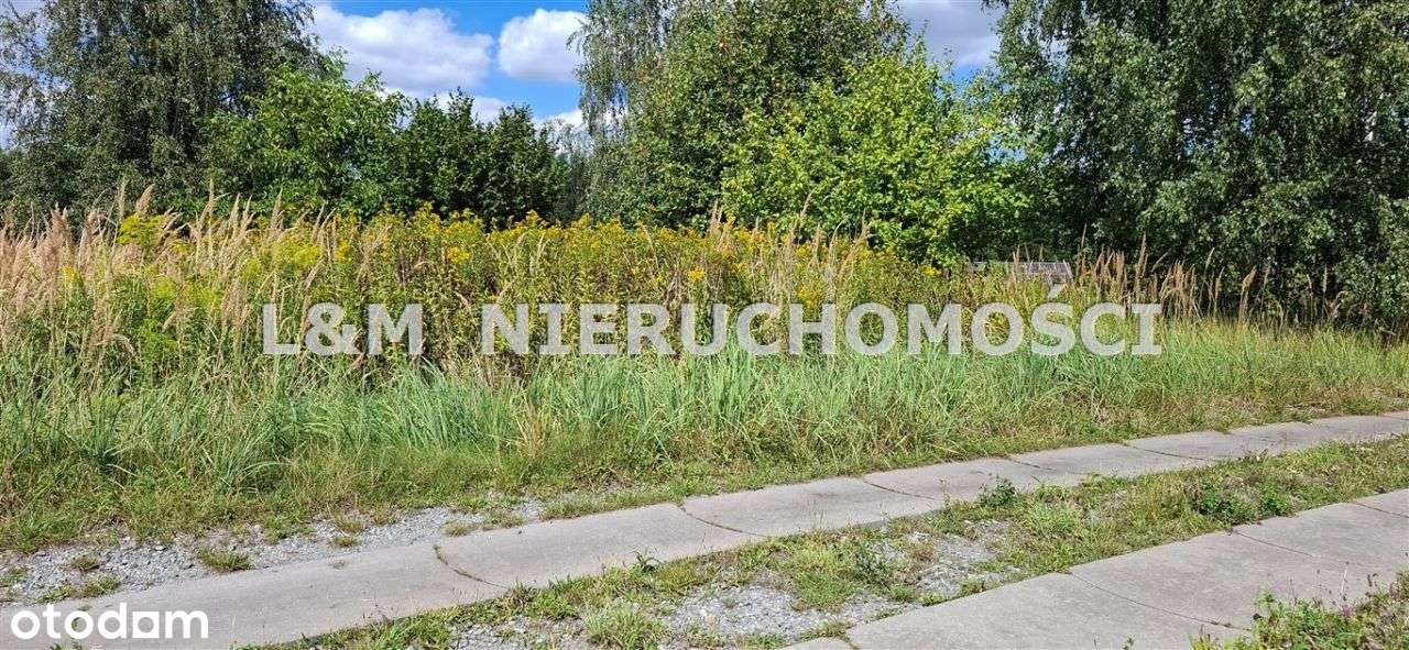 Działka Budowlana W Książenicach !! - Pełny obrazek: 4/6