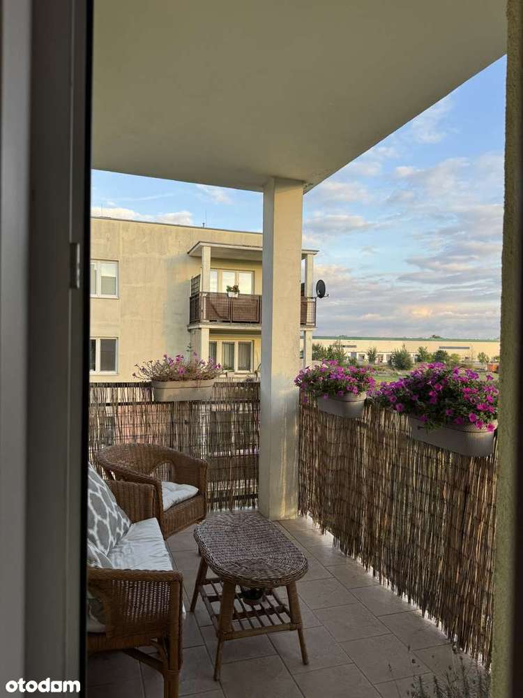 Na sprzedaż 3-pokojowe mieszkanie w cichej, zielonej okolicy - Pełny obrazek: 3/10