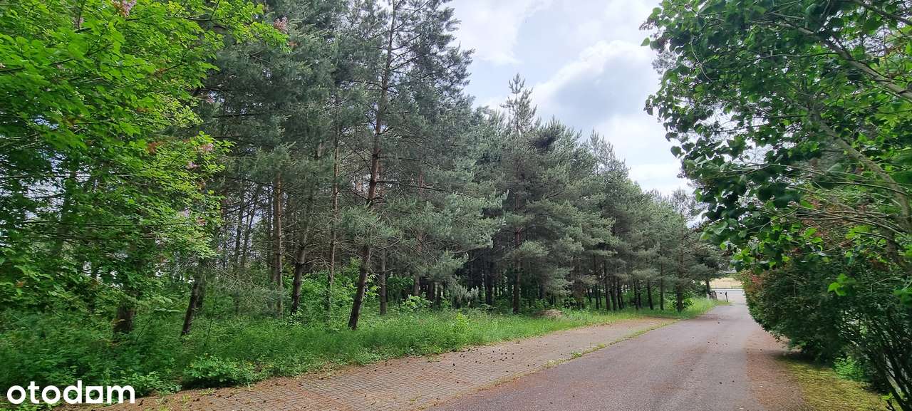 Atrakcyjny teren pod 15 bliźniaków wkomponowanych wśród drzew-4