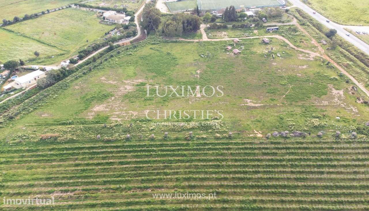 Quinta no Monte da Tapada, para venda, em Odiáxere, Algarve - Grande imagem: 5/16