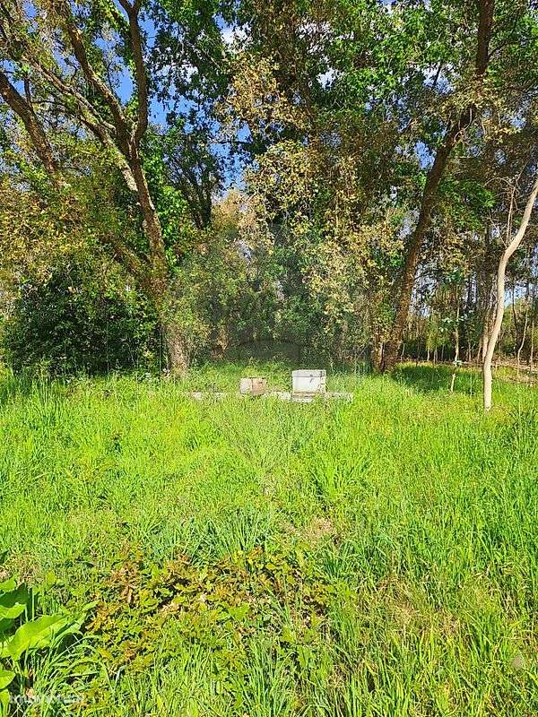 Terreno  para venda - Grande imagem: 4/4