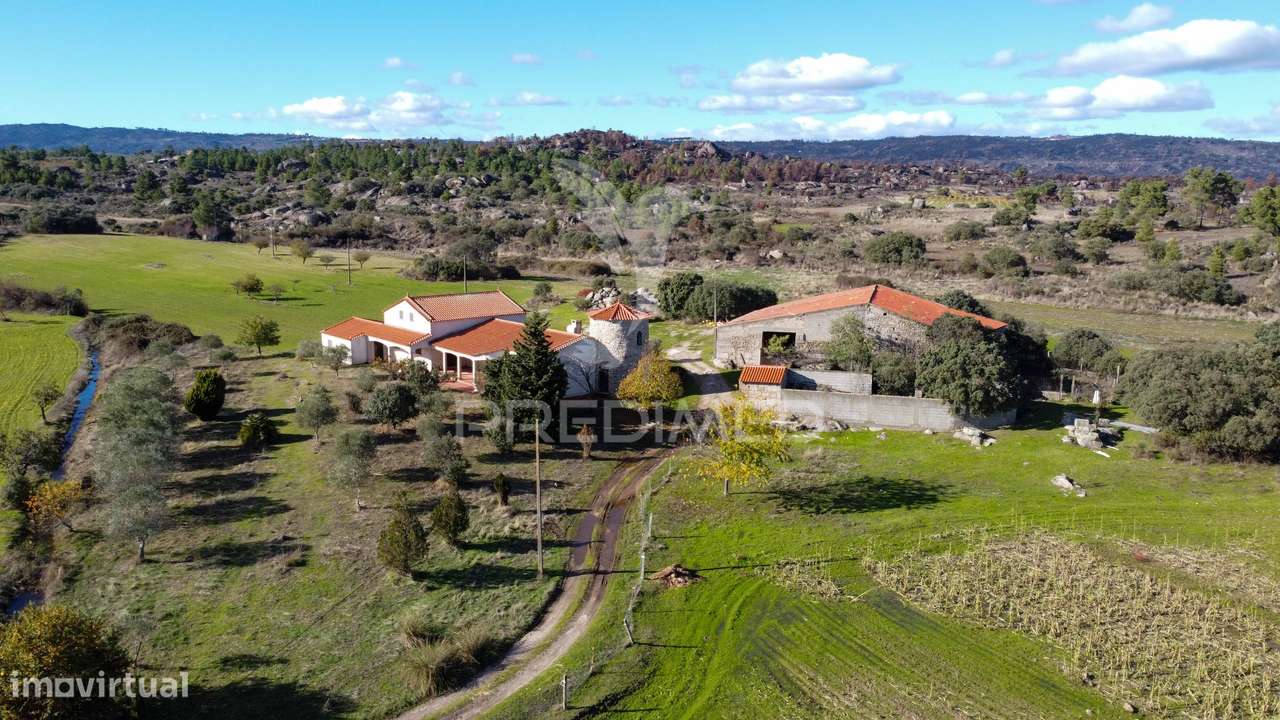 Quinta única com mais de 18 hectares junto a Marialva e ao Douro - Grande imagem: 4/27