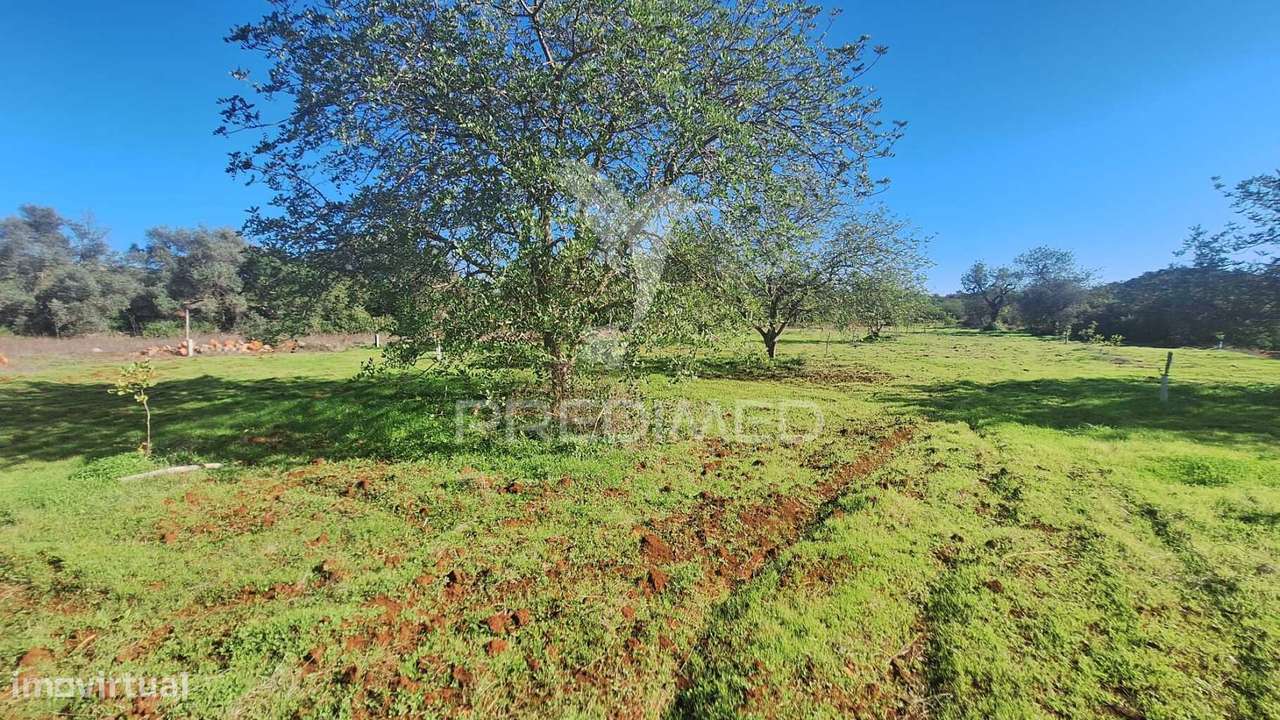 Terreno Rustico em Loulé próximo da Fábrica da Cimpor - Grande imagem: 3/10