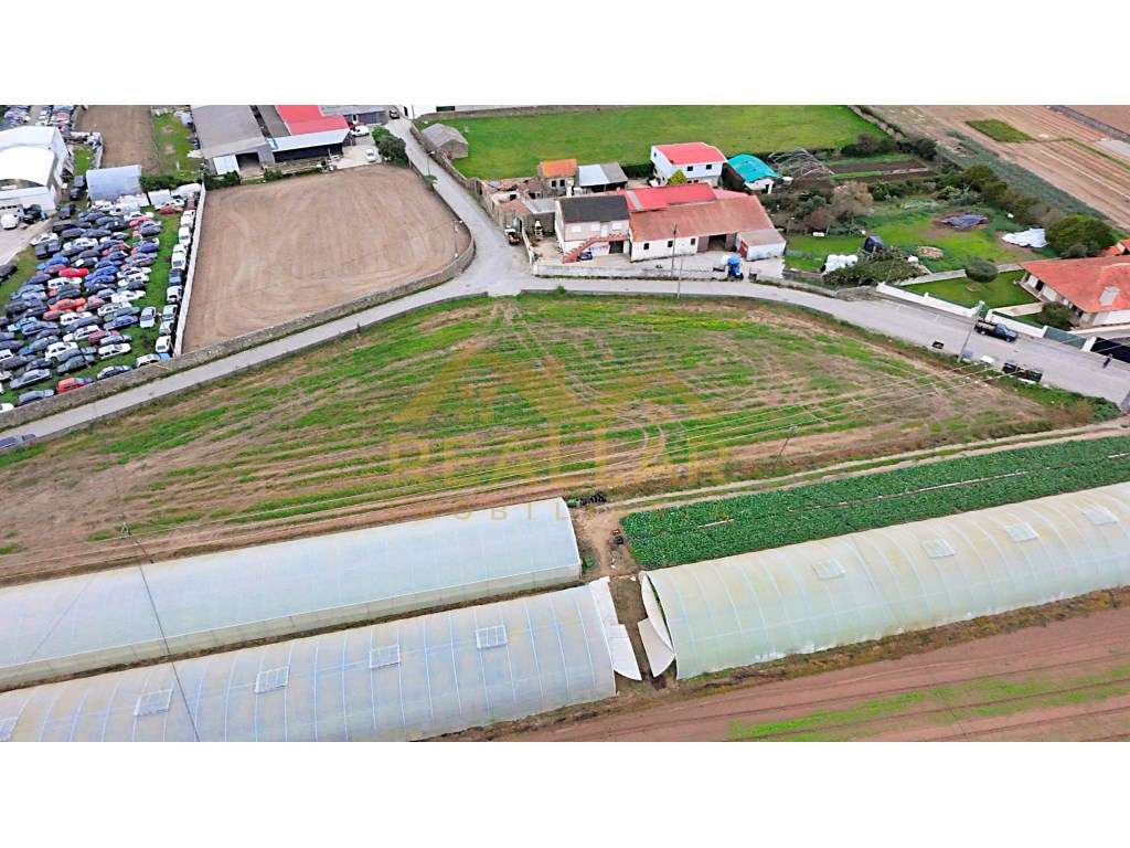 Excelente Terreno Urbano com toda infraestrutura - Terroso - Grande imagem: 2/21