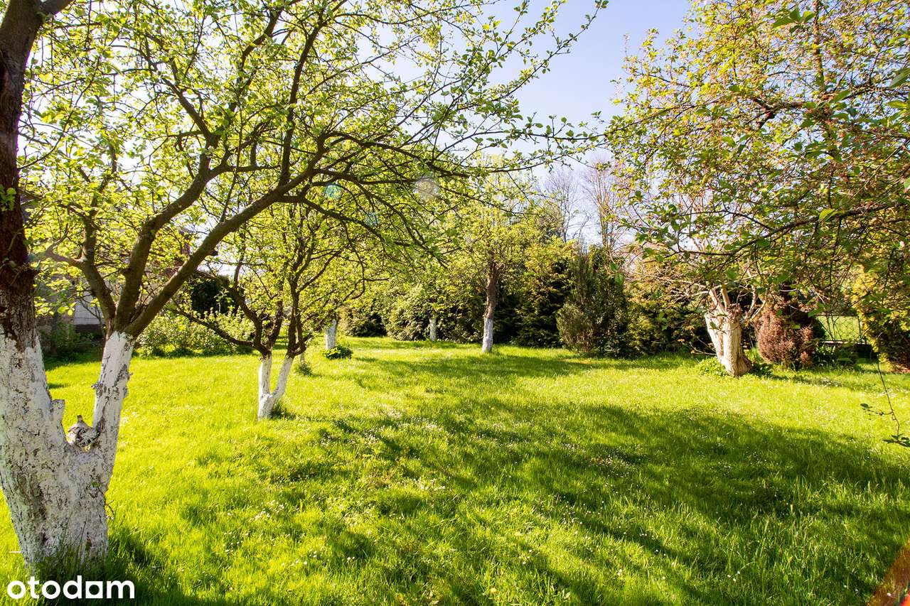 Duża działka! - Pełny obrazek: 5/20