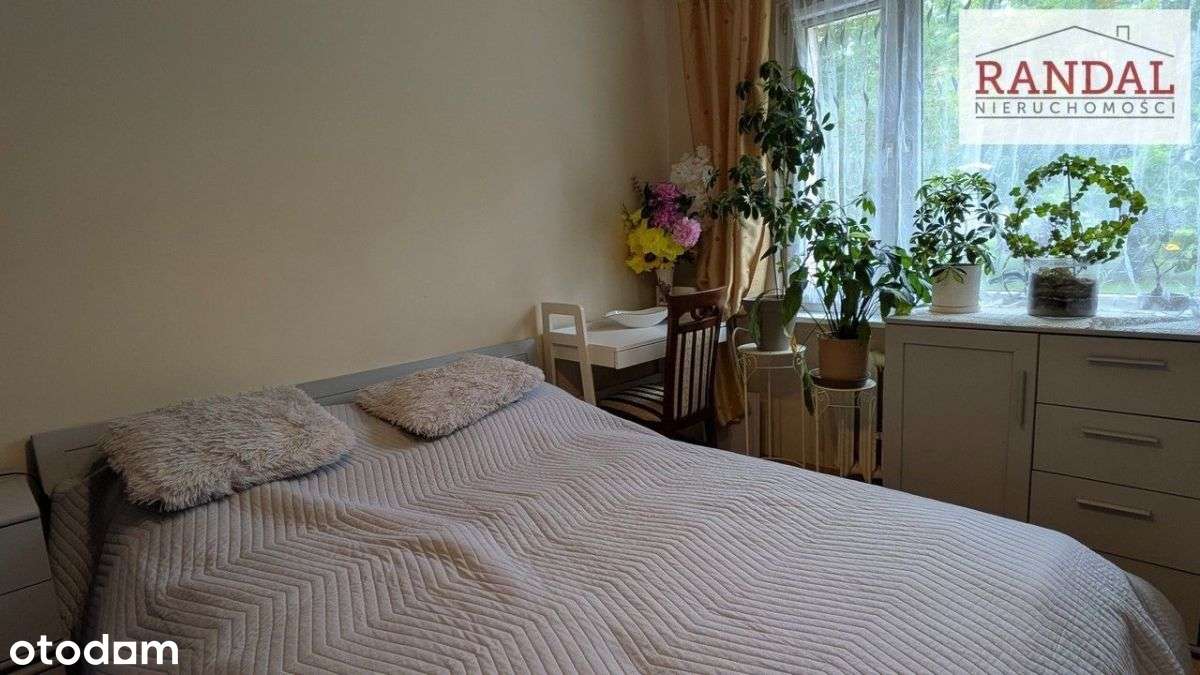 mieszkanie w centrum na parterze - Pełny obrazek: 5/12