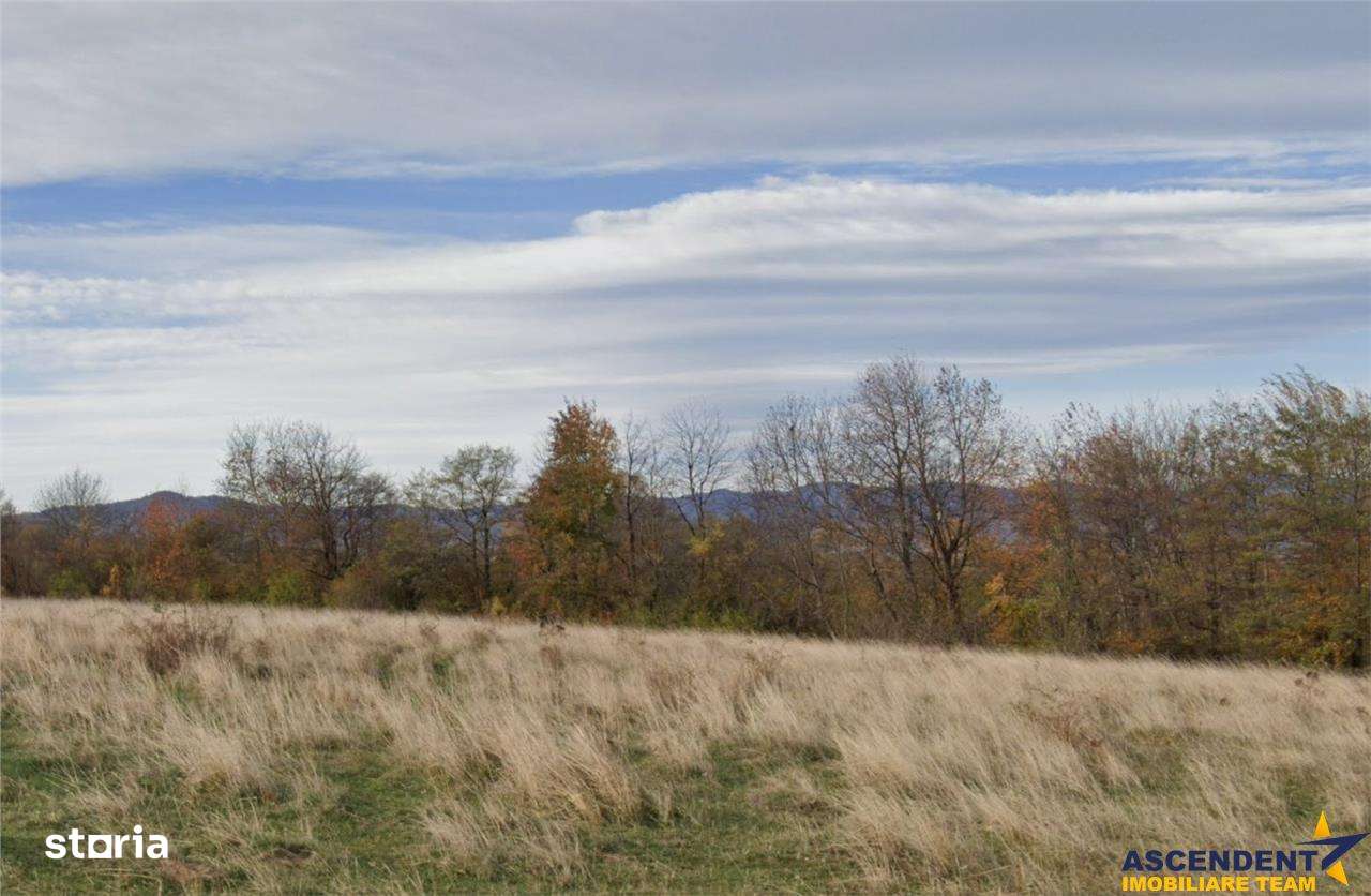 11.600mp teren, partial extravilan,Valea Mare Pravat, 2 km de Campulun - Imagine principală: 5/6