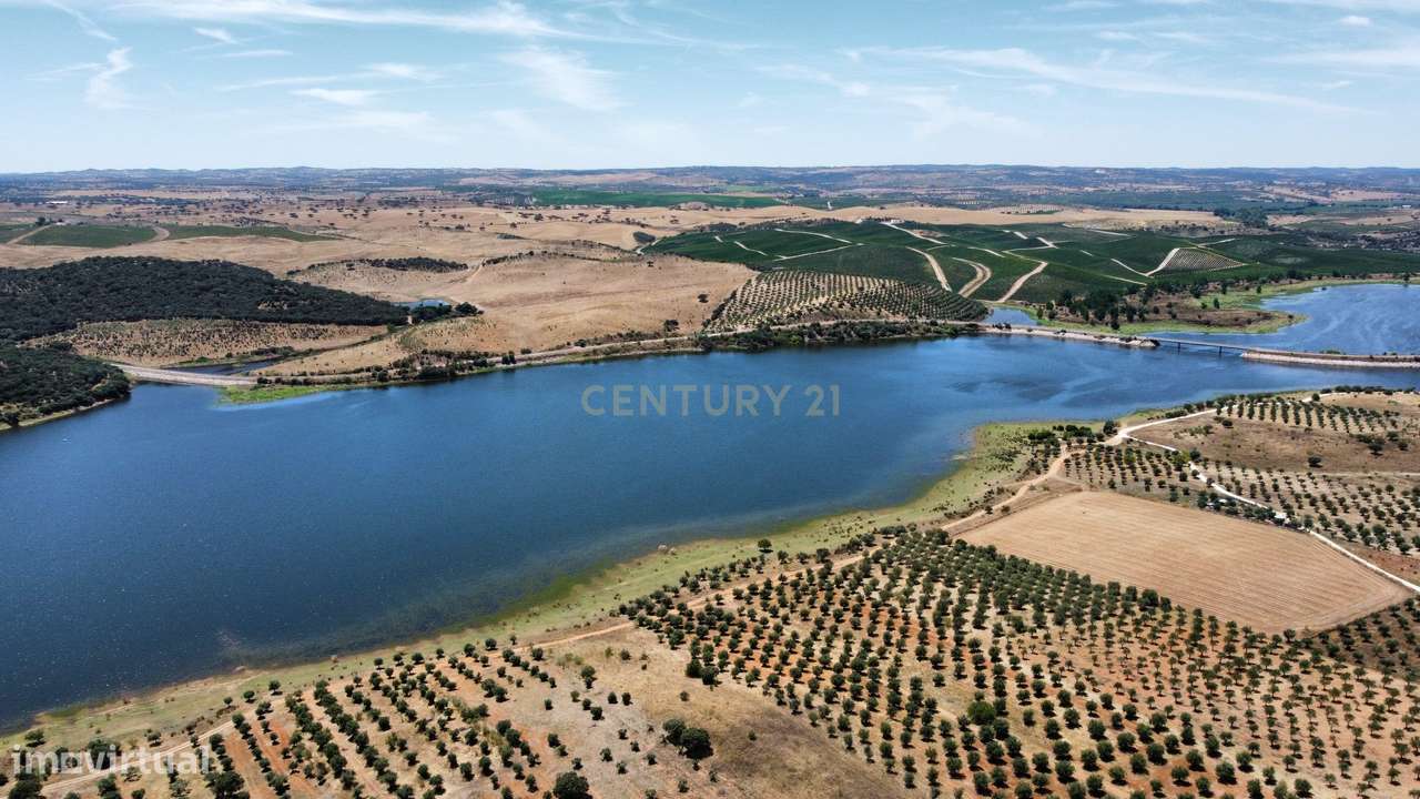 Monte Alentejano T3 Autónomo | Energia Solar, Olival junto ao Alqueva - Grande imagem: 5/12