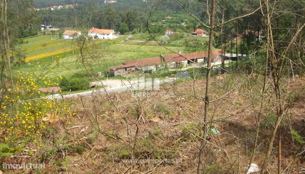 Terreno para venda, Reboreda, Vila Nova de Cerveira - Grande imagem: 2/7