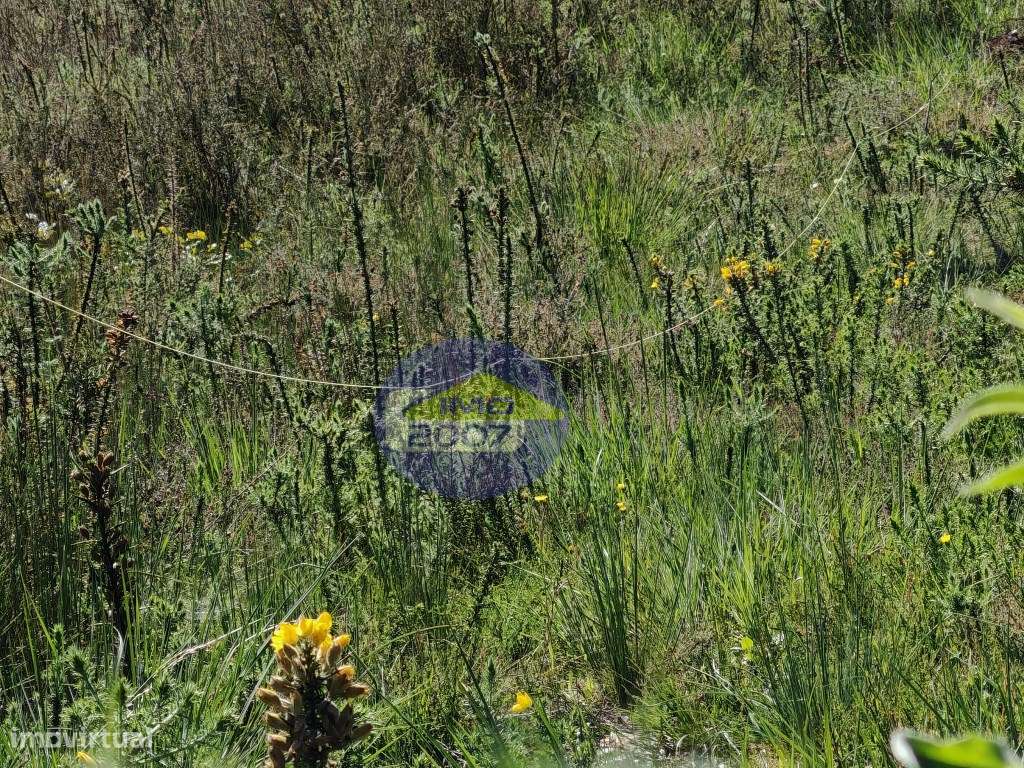 Terreno para construção em Arada - Grande imagem: 4/16